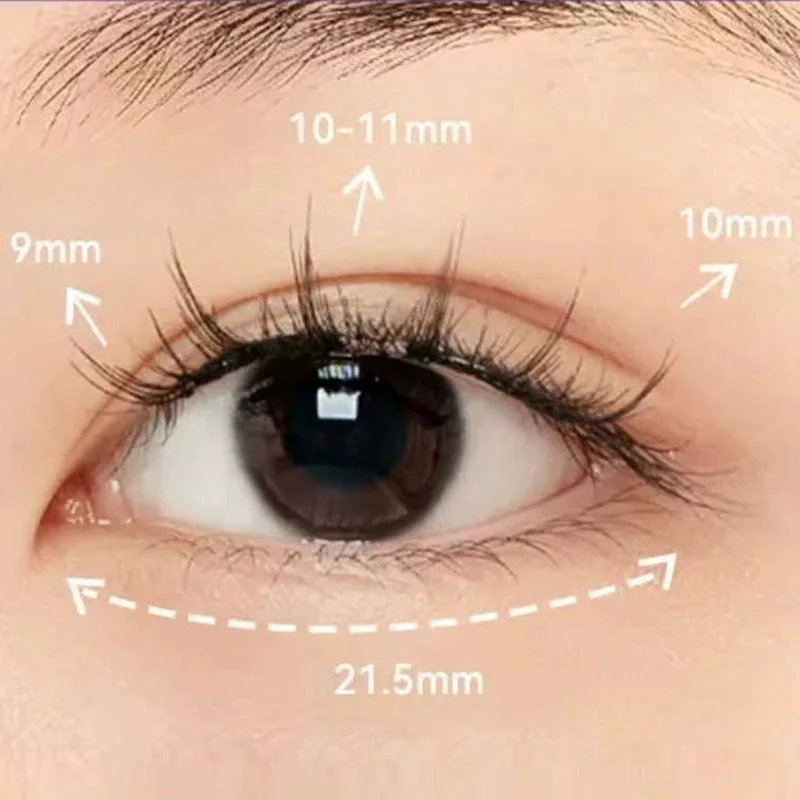 Adhesive Free Long Lasting Soft Magnetic False Eyelash - Image 6