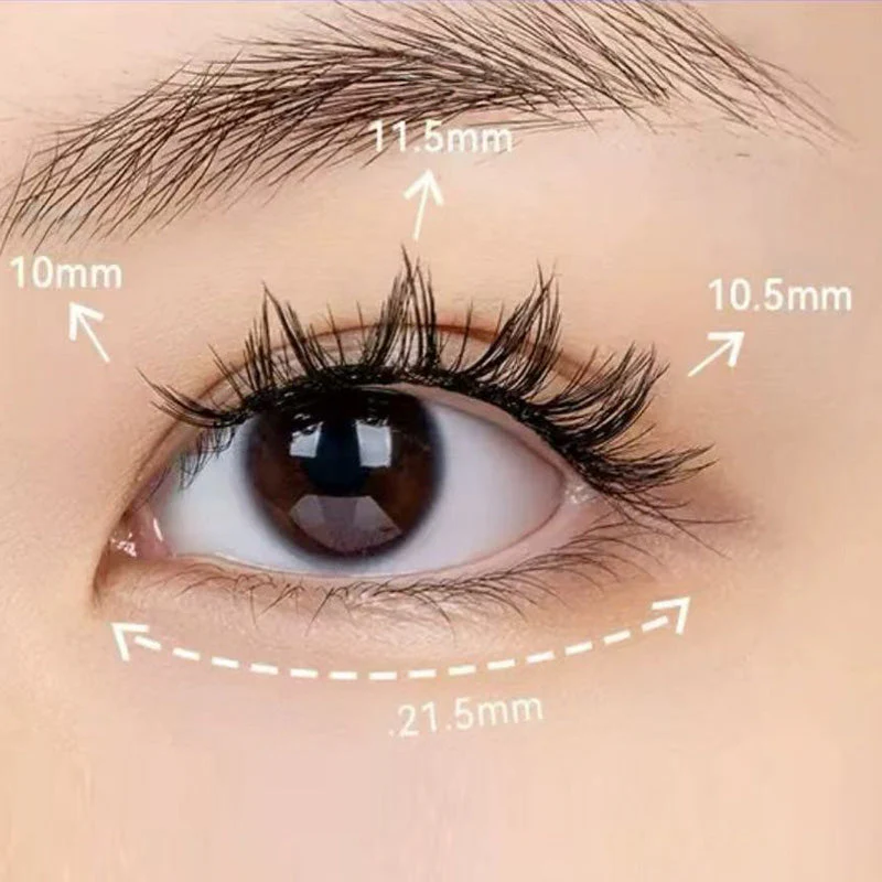 Adhesive Free Long Lasting Soft Magnetic False Eyelash - Image 9