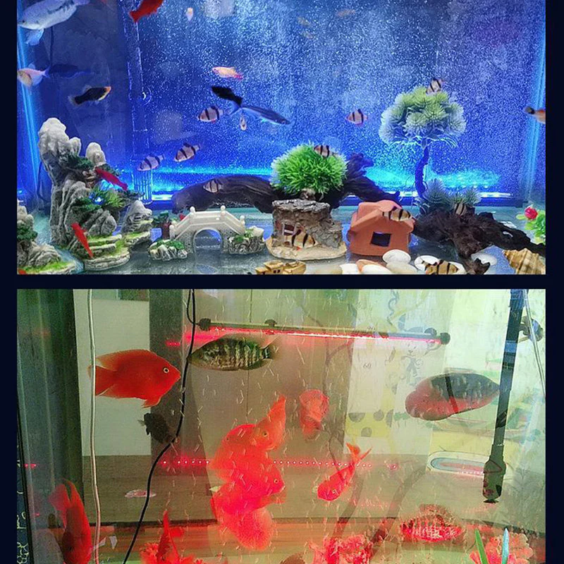 💕💕Lampe à bulles colorées aquarium LED - Image 4