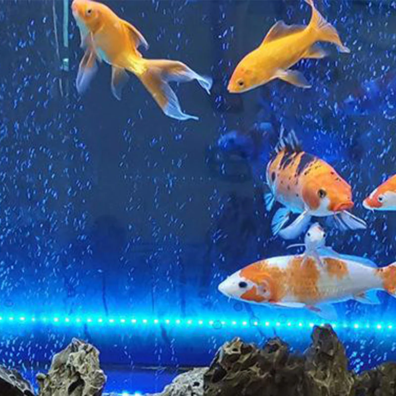 💕💕Lampe à bulles colorées aquarium LED - Image 8