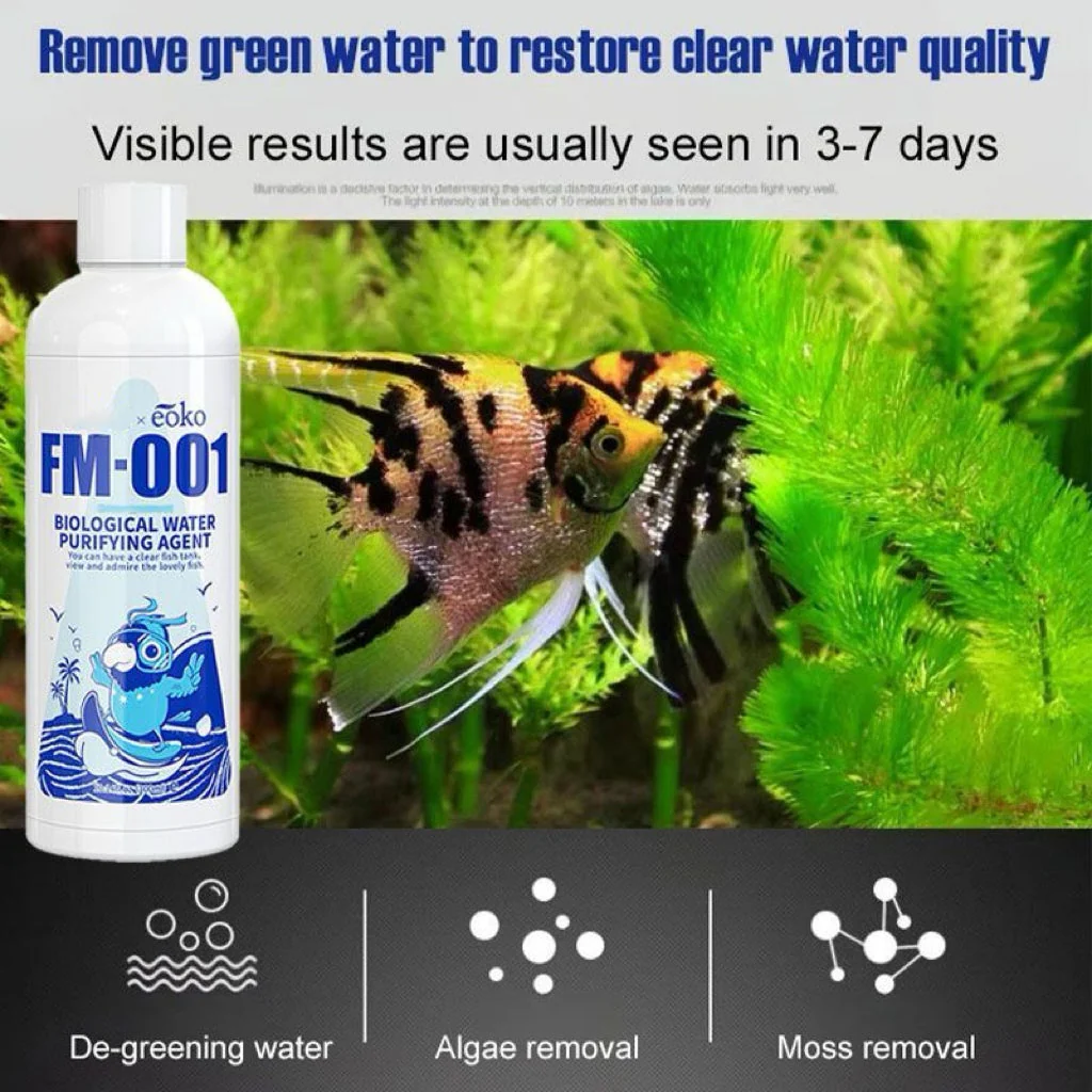 🔥Purificateur d'eau pour aquarium, éliminateur d'algues - Image 3