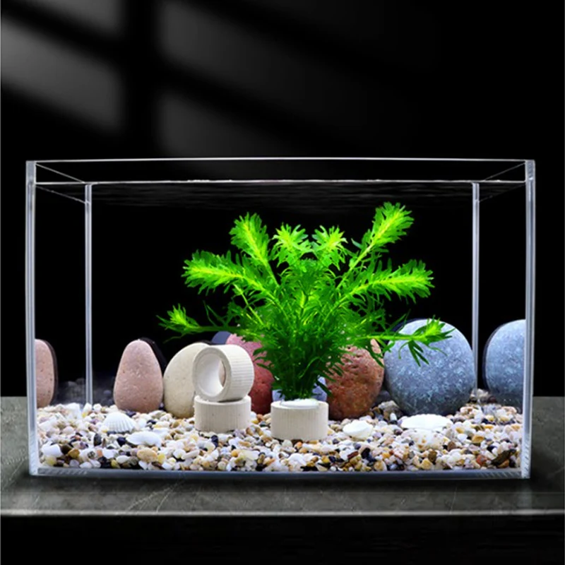 📢📢50 % de réduction !! ⏰Aquatic Plant Holder Ring Set