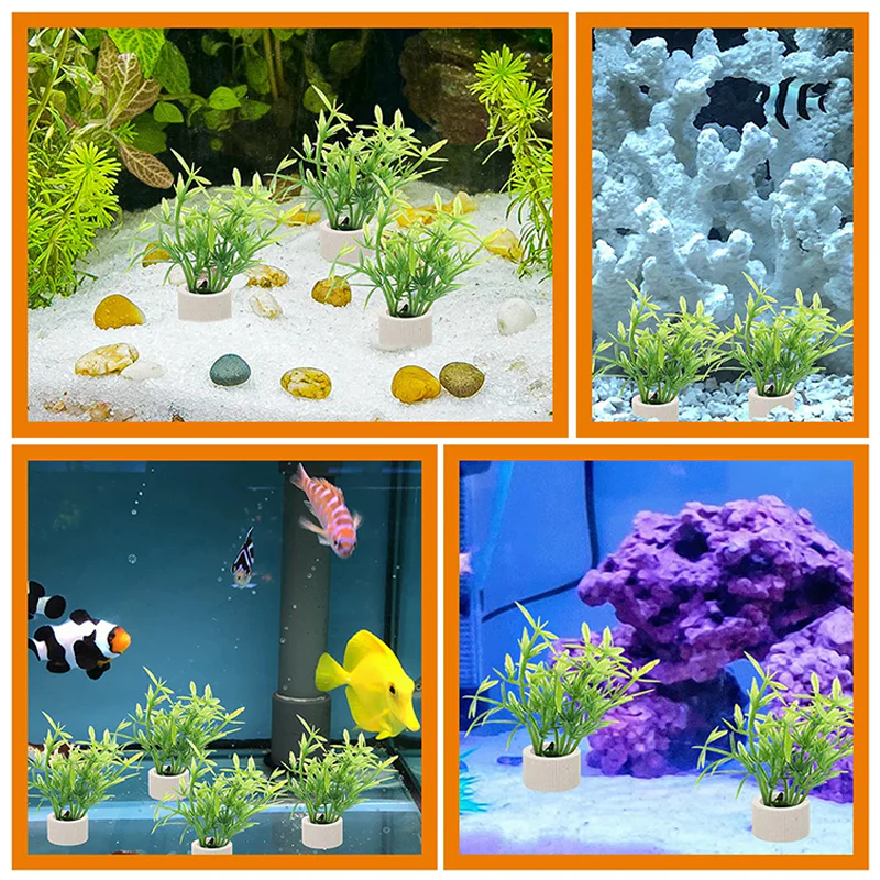 📢📢50 % de réduction !! ⏰Aquatic Plant Holder Ring Set - Image 3