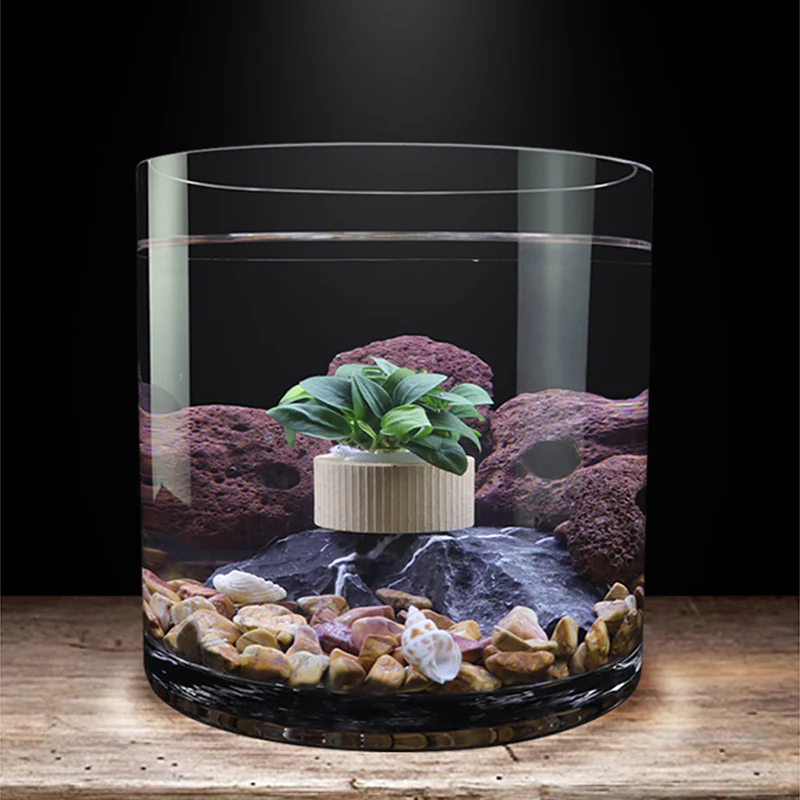 📢📢50 % de réduction !! ⏰Aquatic Plant Holder Ring Set - Image 6