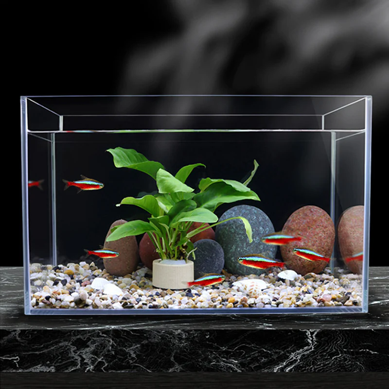 📢📢50 % de réduction !! ⏰Aquatic Plant Holder Ring Set - Image 7