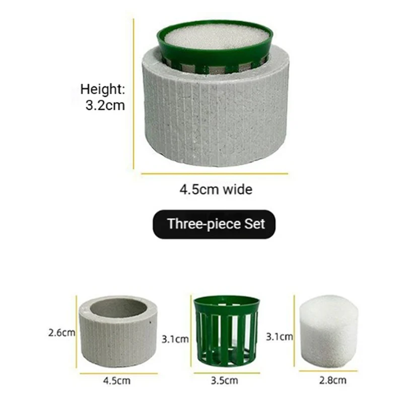📢📢50 % de réduction !! ⏰Aquatic Plant Holder Ring Set - Image 8