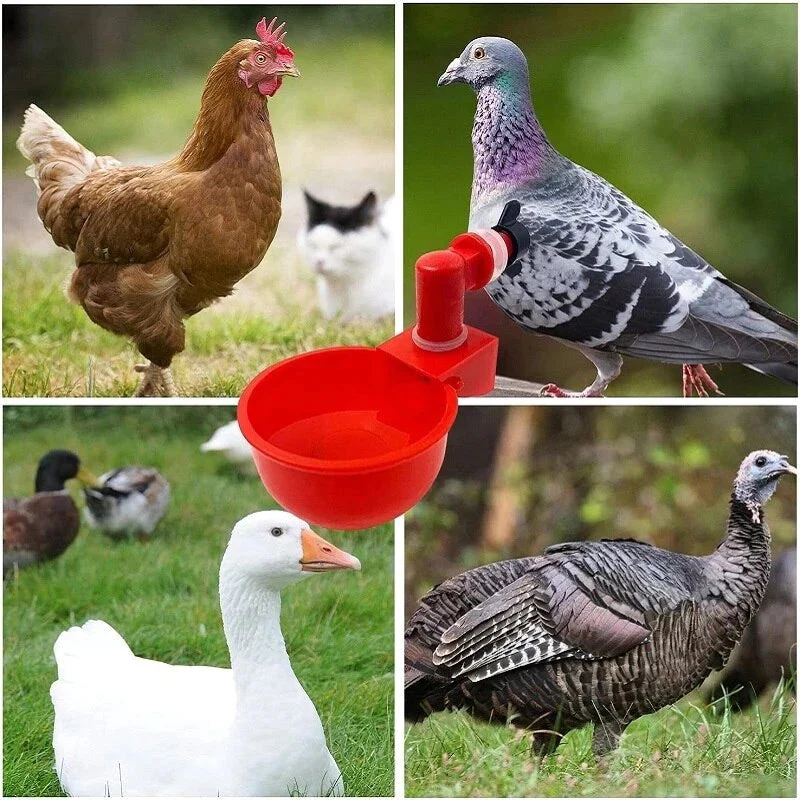 đ„đ„Gift For Chicken Lovers 49% OFF--đ„Automatic Chicken Water Cup Bird Coo