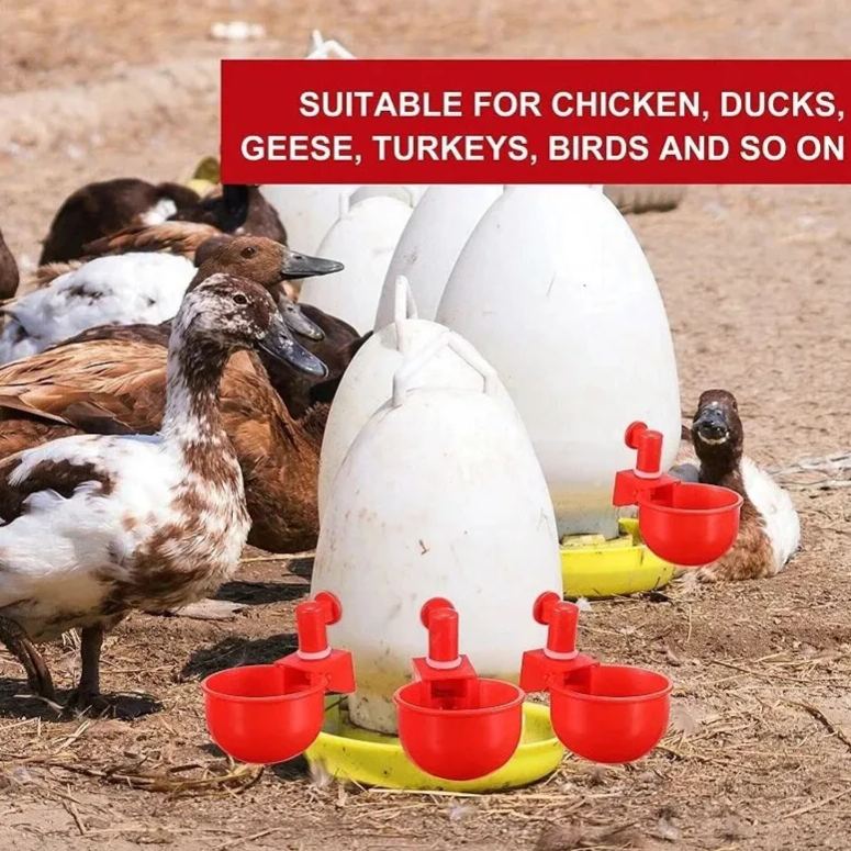 đ„đ„Gift For Chicken Lovers 49% OFF--đ„Automatic Chicken Water Cup Bird Coo - Image 2