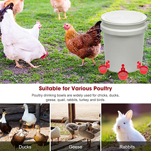 đ„đ„Gift For Chicken Lovers 49% OFF--đ„Automatic Chicken Water Cup Bird Coo - Image 3