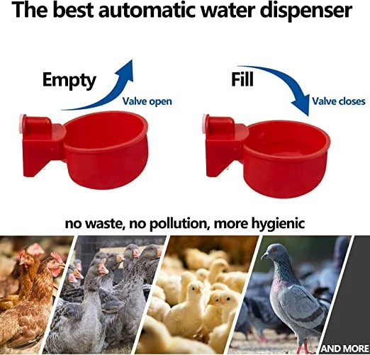 đ„đ„Gift For Chicken Lovers 49% OFF--đ„Automatic Chicken Water Cup Bird Coo - Image 4