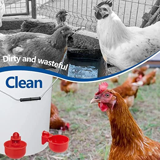 đ„đ„Gift For Chicken Lovers 49% OFF--đ„Automatic Chicken Water Cup Bird Coo - Image 5