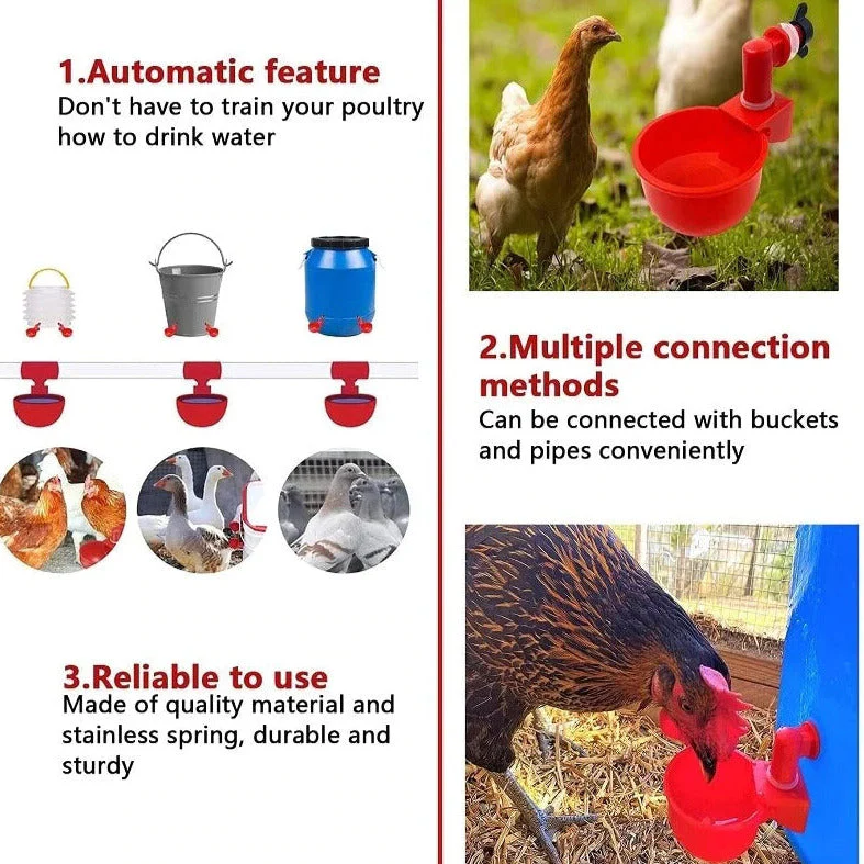 đ„đ„Gift For Chicken Lovers 49% OFF--đ„Automatic Chicken Water Cup Bird Coo - Image 8