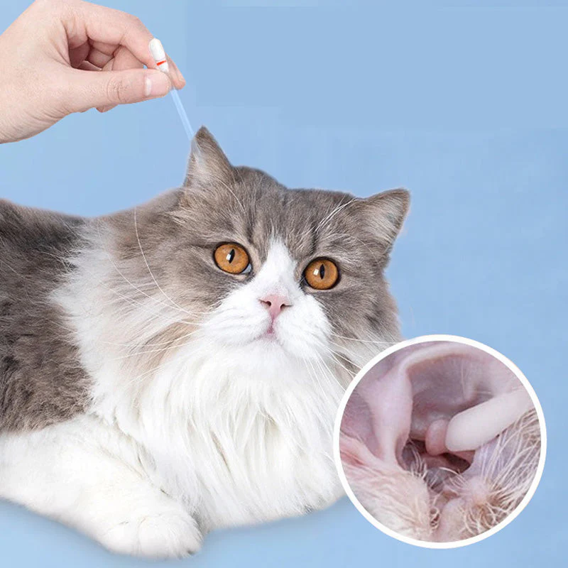 📢📢5 0% DE RÉDUCTION ! ✨Lingettes nettoyantes pour chiens et chats - Image 3