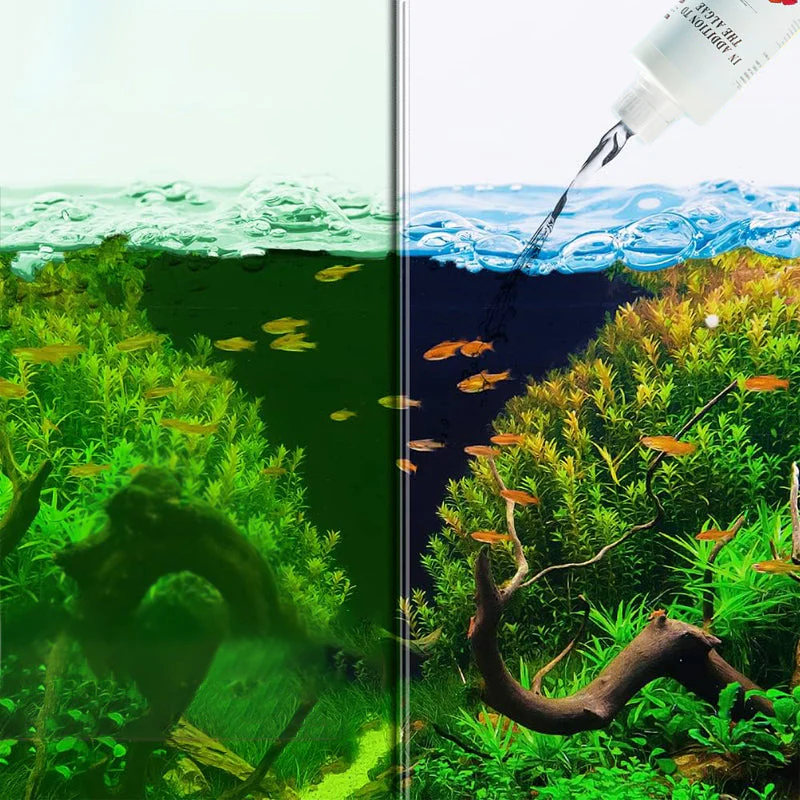 Algicide efficace pour aquarium🌿 - Image 2