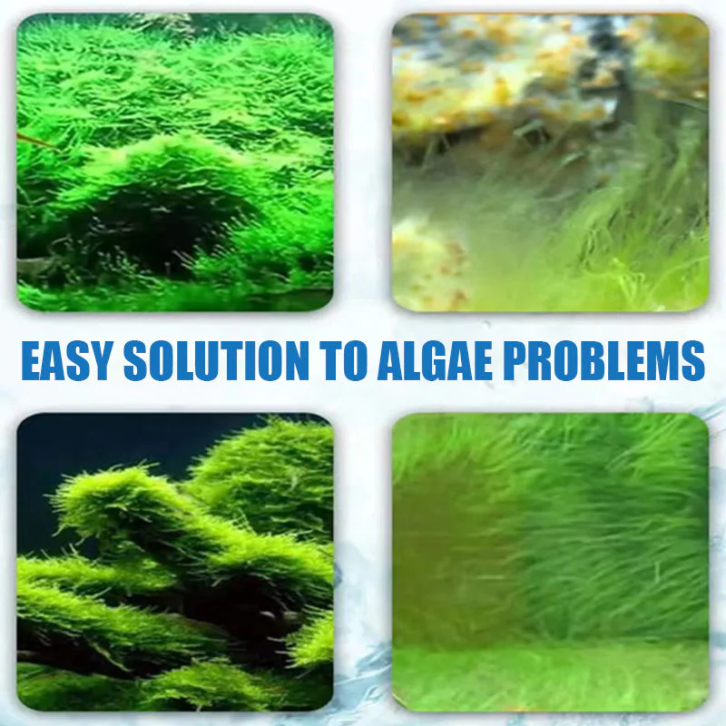 Algicide efficace pour aquarium🌿 - Image 7