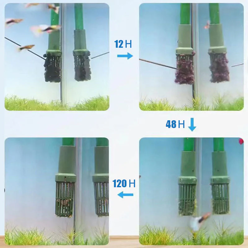 Algicide efficace pour aquarium🌿 - Image 8
