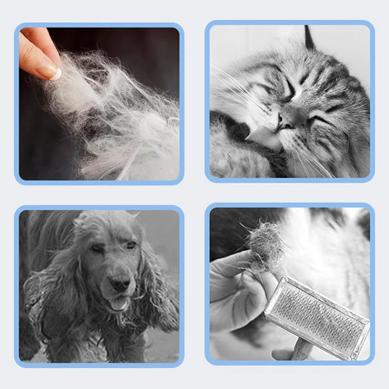đąđą 50% DE RĂDUCTION ! âšPeigne Efficace pour Enlever Les Poils dâAnimaux - Image 2