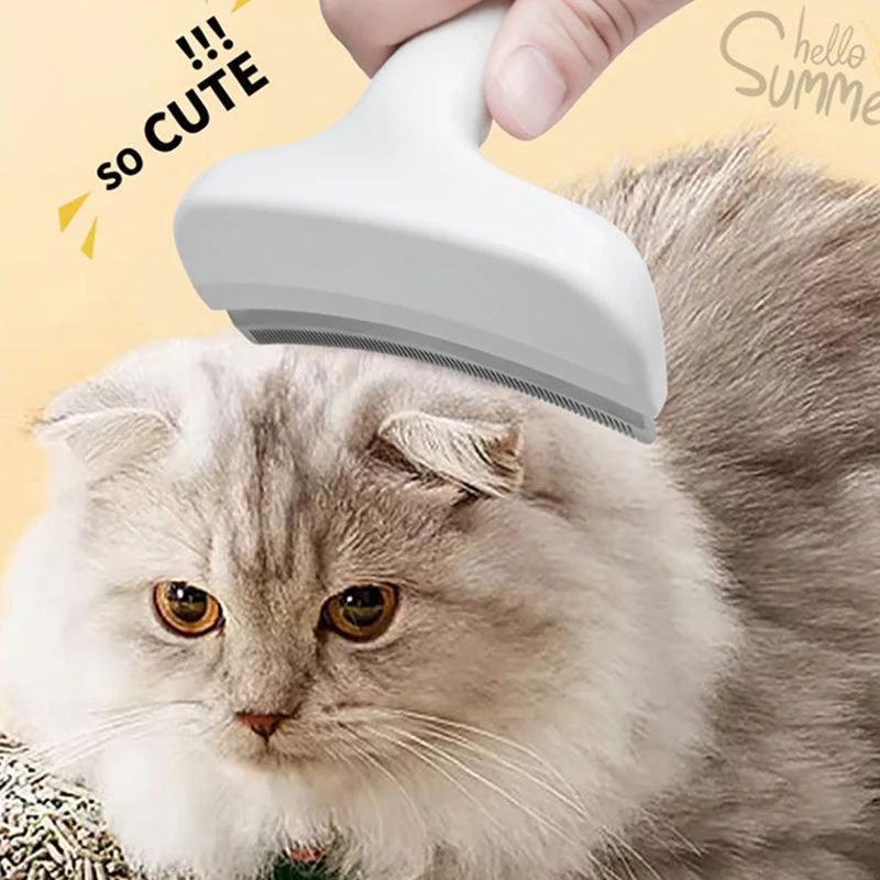 đąđą 50% DE RĂDUCTION ! âšPeigne Efficace pour Enlever Les Poils dâAnimaux - Image 4