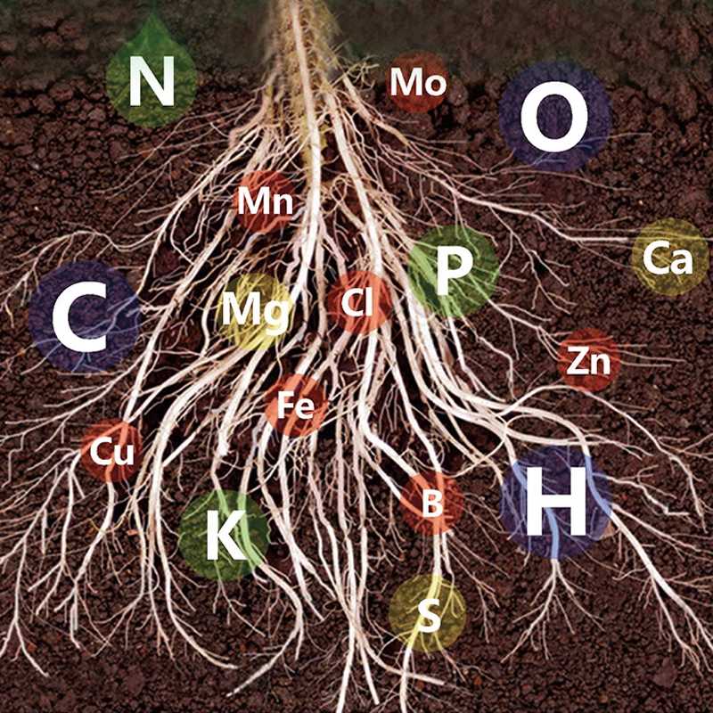 🌱La protection de l'environnement est une tendance, l'écologie est une attitude!⏰Solution nutritive à action rapide pour les plantes - Image 3