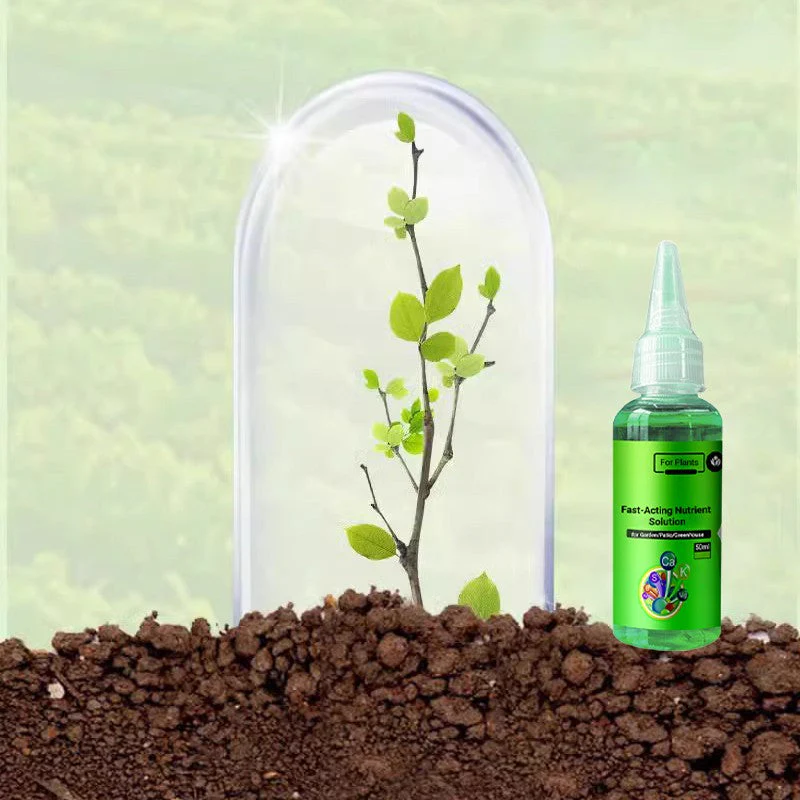 🌱La protection de l'environnement est une tendance, l'écologie est une attitude!⏰Solution nutritive à action rapide pour les plantes - Image 6