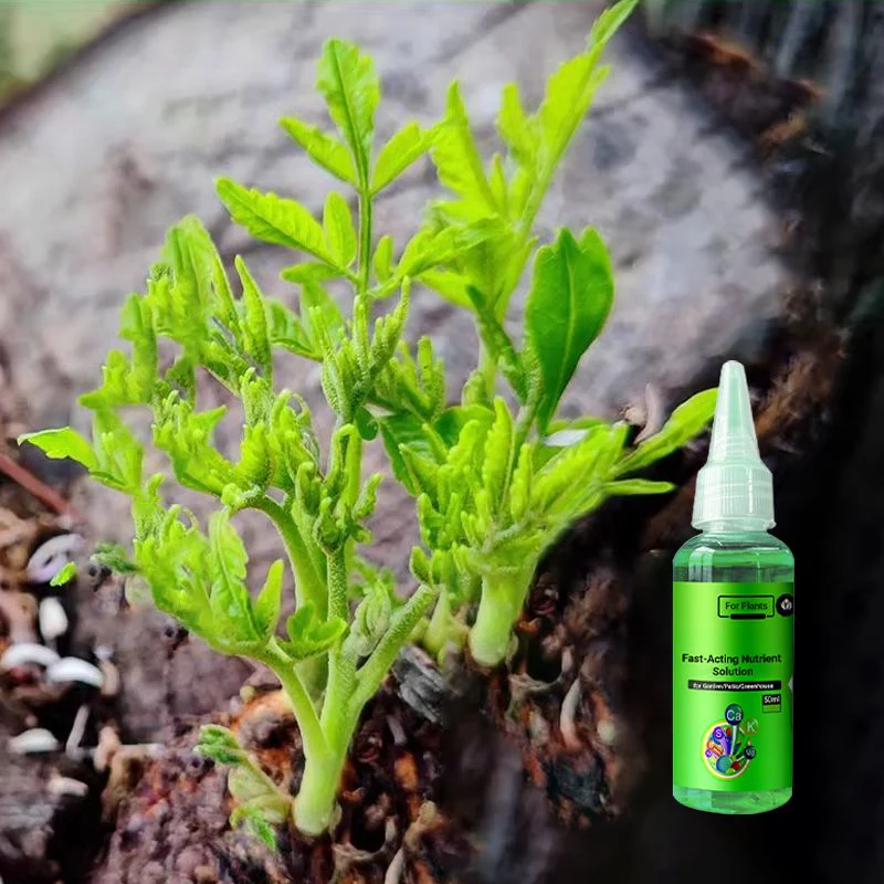 🌱La protection de l'environnement est une tendance, l'écologie est une attitude!⏰Solution nutritive à action rapide pour les plantes - Image 8