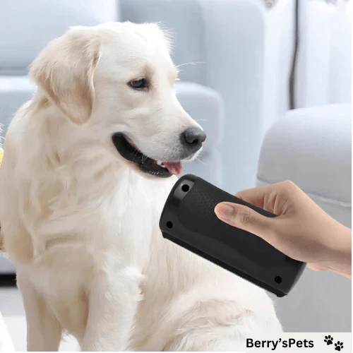 🐶🐱💥🔥 Brosse professionnelle pour animaux de compagnie - Image 6