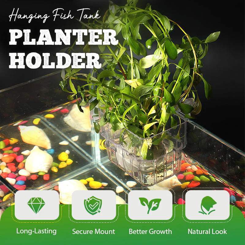 📢📢Achetez-en 1， obtenez-en 1 gratuitement✨Support suspendu pour aquarium et plante