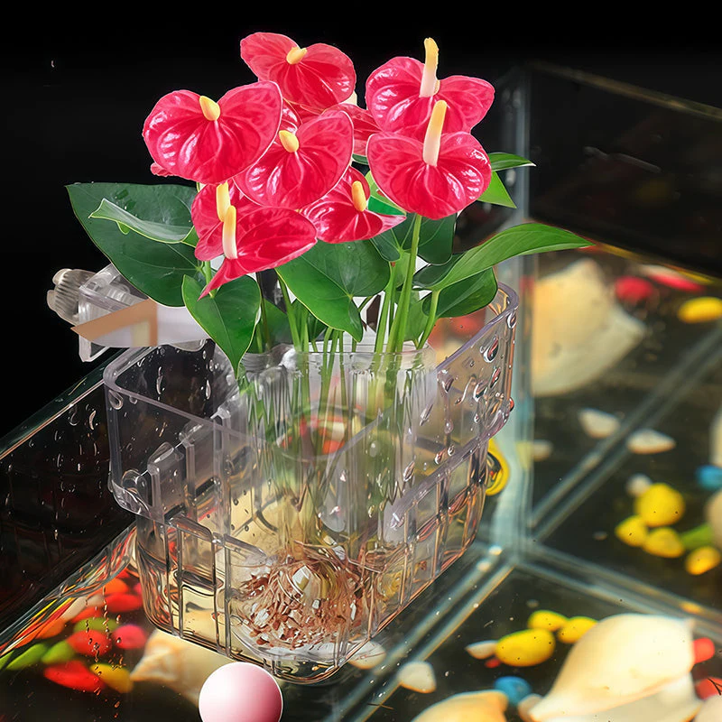 📢📢Achetez-en 1， obtenez-en 1 gratuitement✨Support suspendu pour aquarium et plante - Image 4