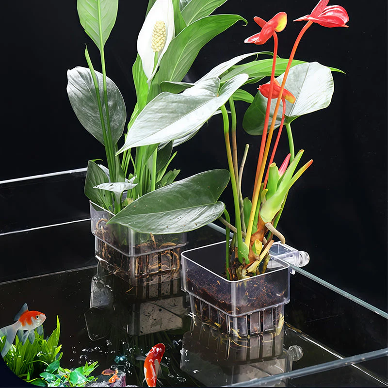 📢📢Achetez-en 1， obtenez-en 1 gratuitement✨Support suspendu pour aquarium et plante - Image 5