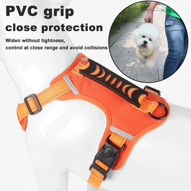 📢66% de réduction pour une durée limitée✨🐕Prix - Laisse pour animal gratuite ! - Image 2