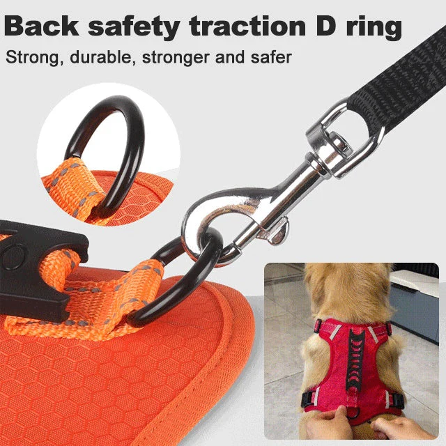 📢66% de réduction pour une durée limitée✨🐕Prix - Laisse pour animal gratuite ! - Image 3