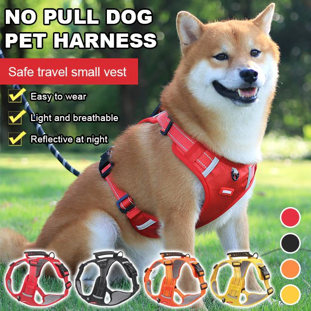 📢66% de réduction pour une durée limitée✨🐕Prix - Laisse pour animal gratuite ! - Image 4