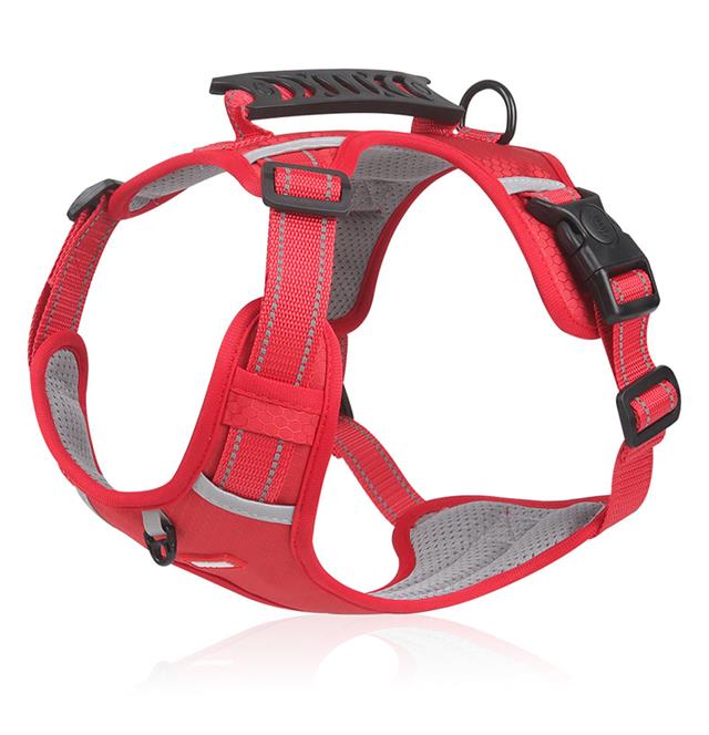 📢66% de réduction pour une durée limitée✨🐕Prix - Laisse pour animal gratuite ! - Image 6