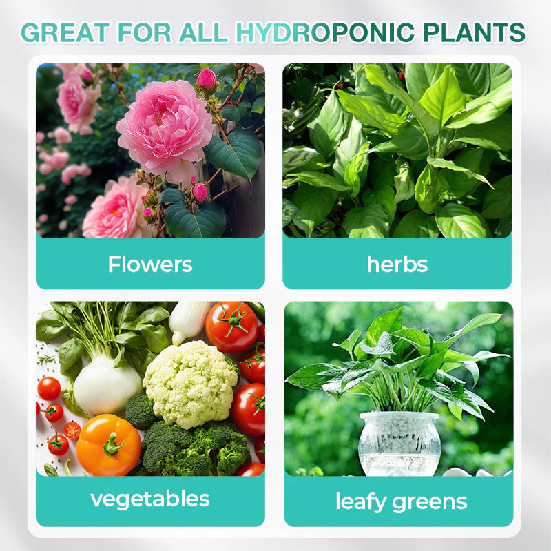 🔥Solution nutritive hydroponique pour la croissance des plantes☘️Offre limitée : plus que 30 articles disponibles !🚚🚚 - Image 5