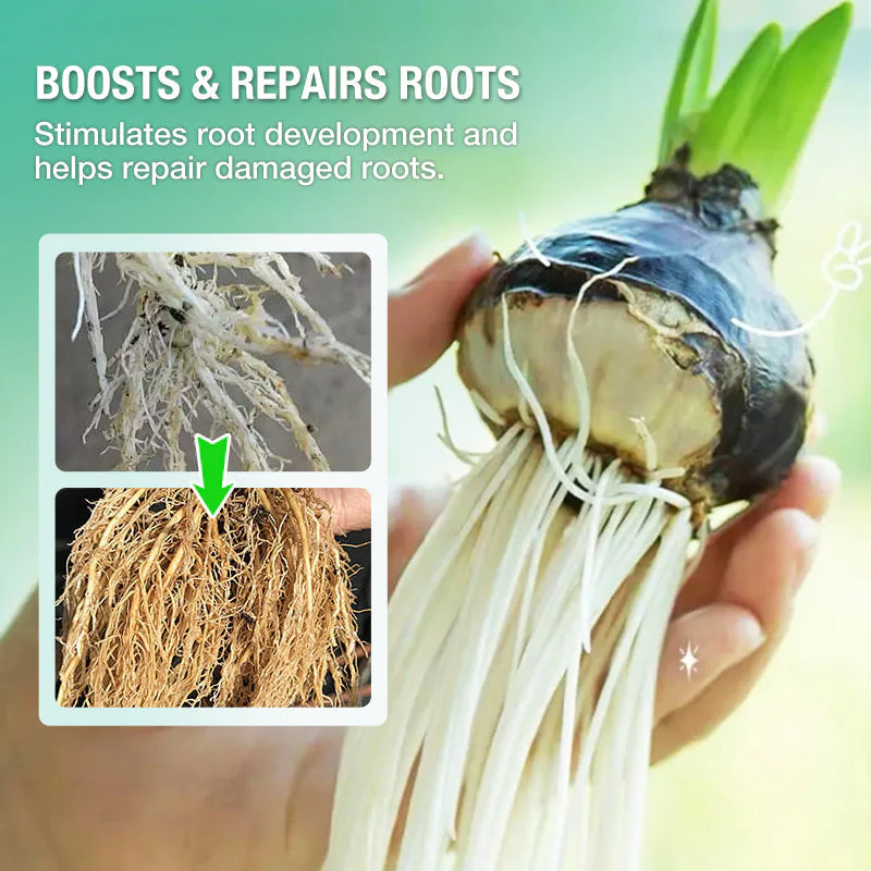 🔥Solution nutritive hydroponique pour la croissance des plantes☘️Offre limitée : plus que 30 articles disponibles !🚚🚚 - Image 6