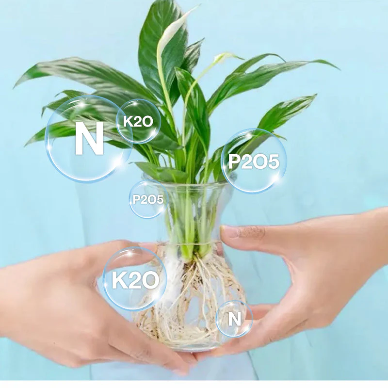🏡Achetez 3 obtenez-en 2 GRATUITE !🪴Solution nutritive hydroponique pour la croissance des plantes☘️💦 - Image 3