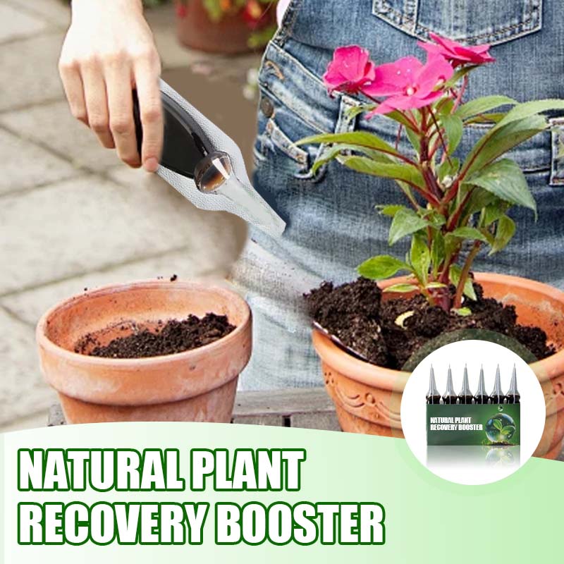 ⏰⏰⏰Achetez-en 2 et obtenez-en 1 gratuitement📍Booster naturel pour la régénération des plantes, riche en nutriments essentiels