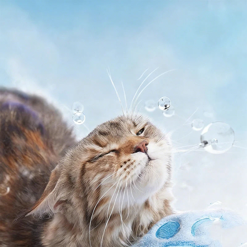🐾 ACHETEZ 2 OBTENEZ 1 ! ✨ Shampooing Sans Rinçage – Nettoyage Profond & Hydratation en 1 Étape, Formule Douce aux Extraits Naturels 🌿🧴 - Image 3