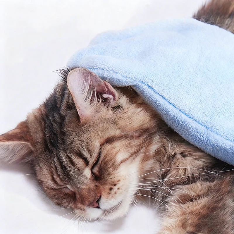 🐾 ACHETEZ 2 OBTENEZ 1 ! ✨ Shampooing Sans Rinçage – Nettoyage Profond & Hydratation en 1 Étape, Formule Douce aux Extraits Naturels 🌿🧴 - Image 5