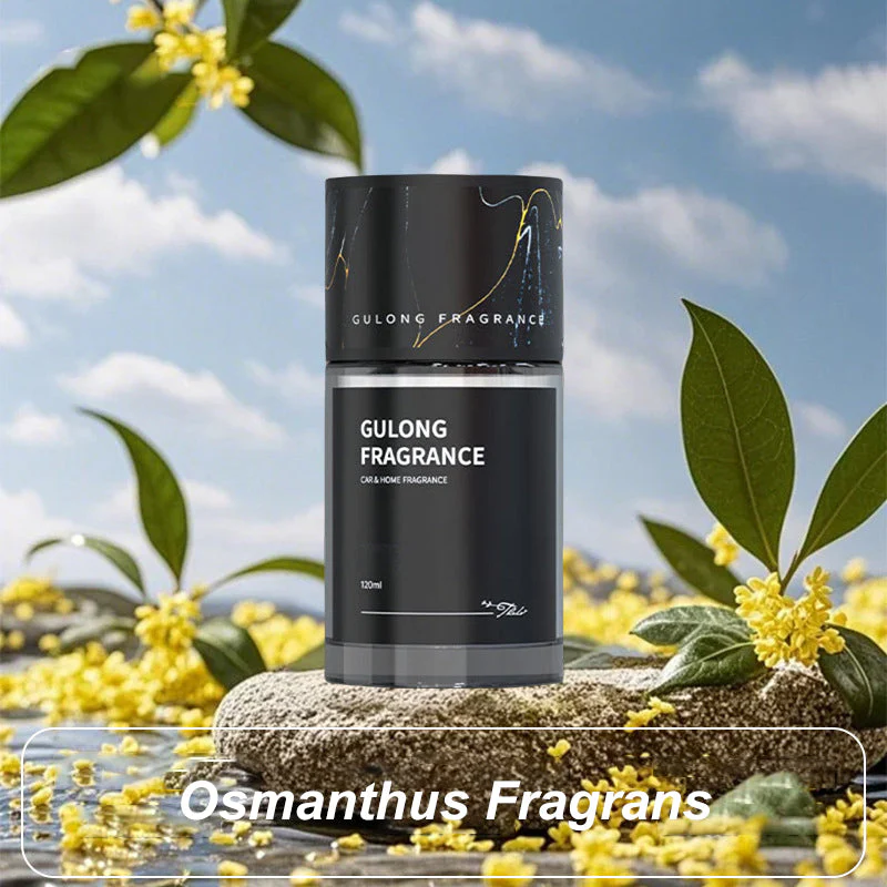 💥🌸🍃2025 Nouvelle vente chaude💝Parfum de voiture longue durée - Image 5