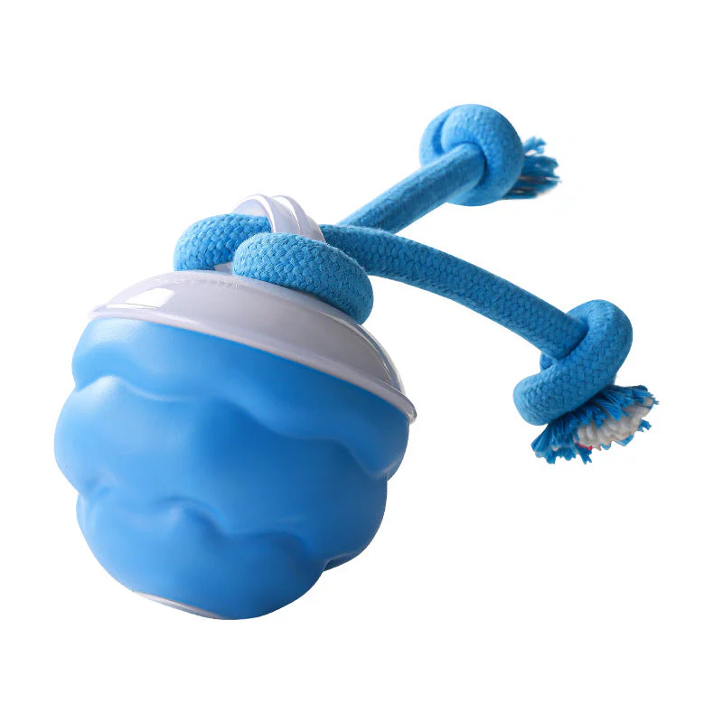 📢📢50% de réduction !!! 🎅 Balle Interactive Électronique Apaisante pour Animaux de Compagnie – Trois Modes, Évitement des Obstacles & Plus! 🐶💡 - Image 10