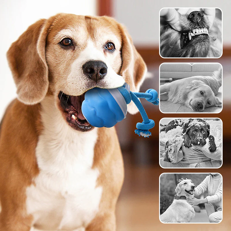 📢📢50% de réduction !!! 🎅 Balle Interactive Électronique Apaisante pour Animaux de Compagnie – Trois Modes, Évitement des Obstacles & Plus! 🐶💡 - Image 4