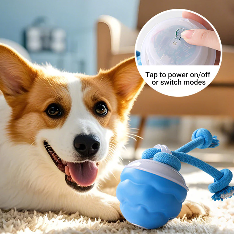📢📢50% de réduction !!! 🎅 Balle Interactive Électronique Apaisante pour Animaux de Compagnie – Trois Modes, Évitement des Obstacles & Plus! 🐶💡 - Image 5