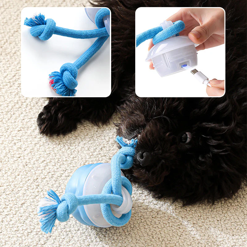 📢📢50% de réduction !!! 🎅 Balle Interactive Électronique Apaisante pour Animaux de Compagnie – Trois Modes, Évitement des Obstacles & Plus! 🐶💡 - Image 6