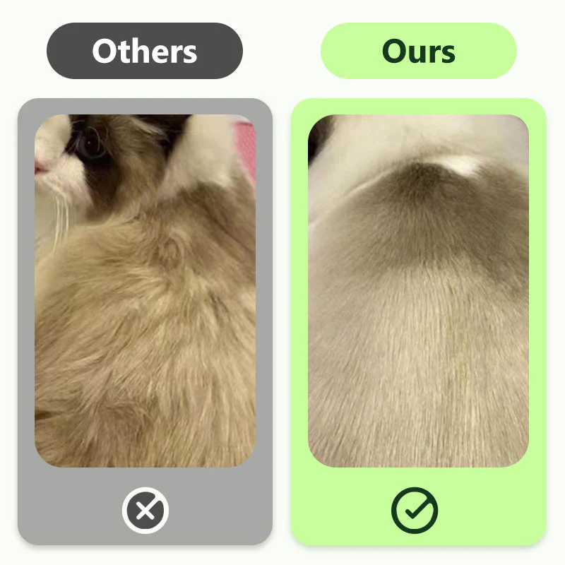 🎉 Promotion du dernier jour - 50% de réduction 🫧Gants de nettoyage sans rinçage pour animaux de compagnie - Image 3