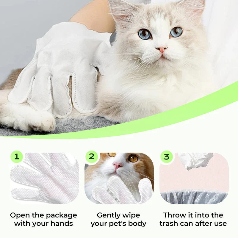 🎉 Promotion du dernier jour - 50% de réduction 🫧Gants de nettoyage sans rinçage pour animaux de compagnie - Image 4