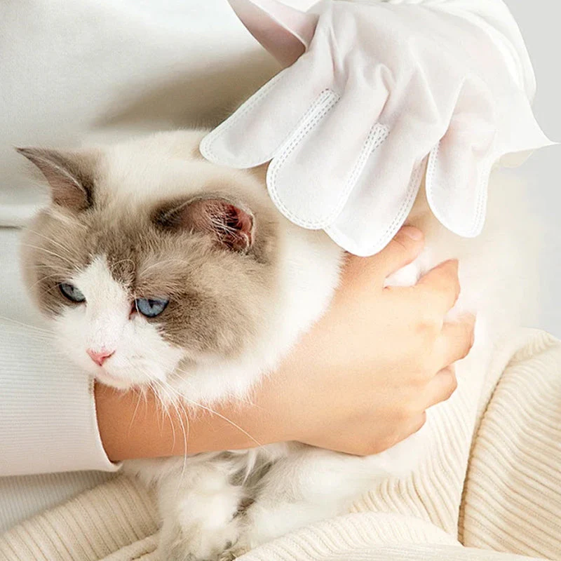 🎉 Promotion du dernier jour - 50% de réduction 🫧Gants de nettoyage sans rinçage pour animaux de compagnie - Image 6