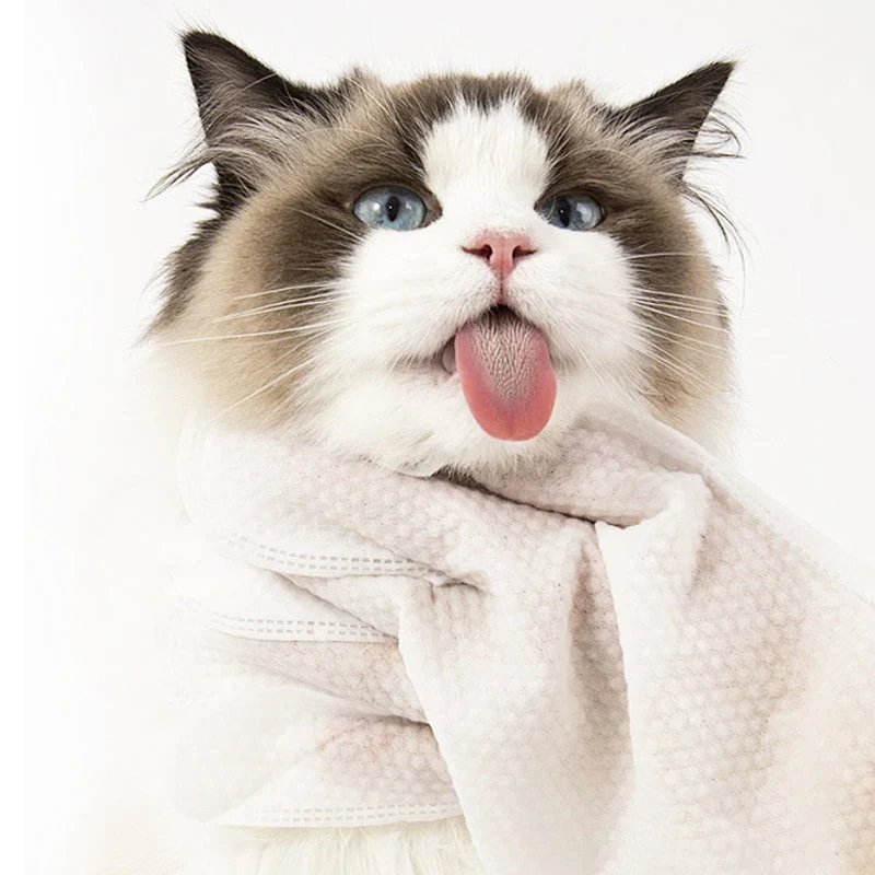 🎉 Promotion du dernier jour - 50% de réduction 🫧Gants de nettoyage sans rinçage pour animaux de compagnie - Image 7
