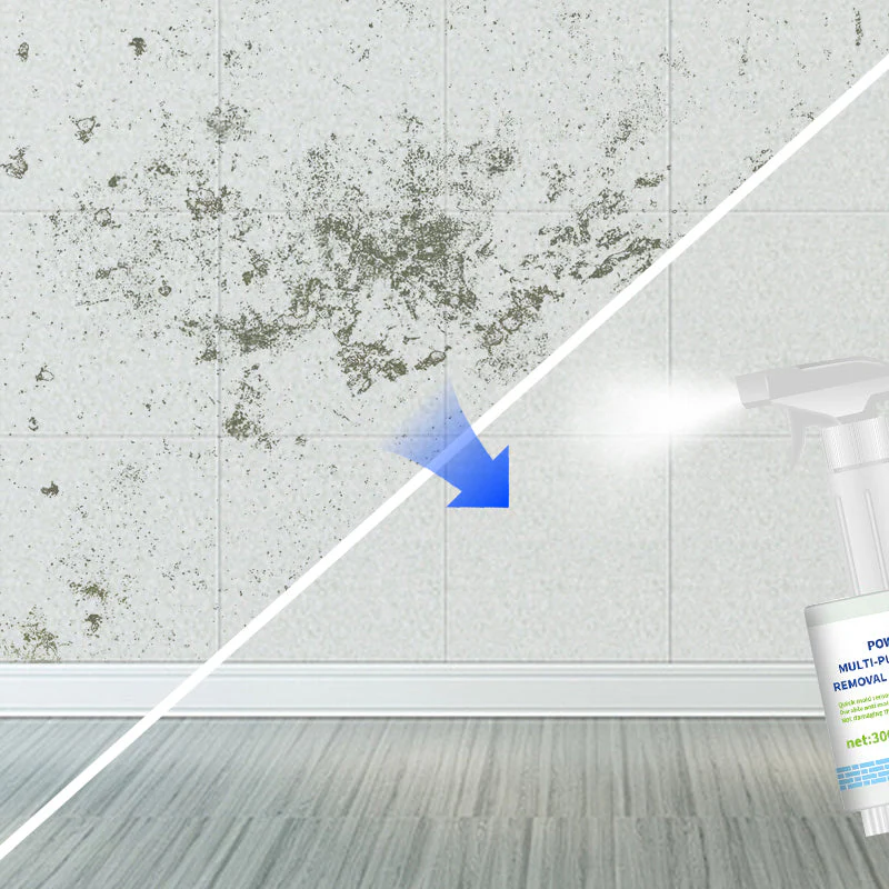 💥Offre de réduction💥 Spray nettoyant puissant pour l'élimination des moisissures - Image 3
