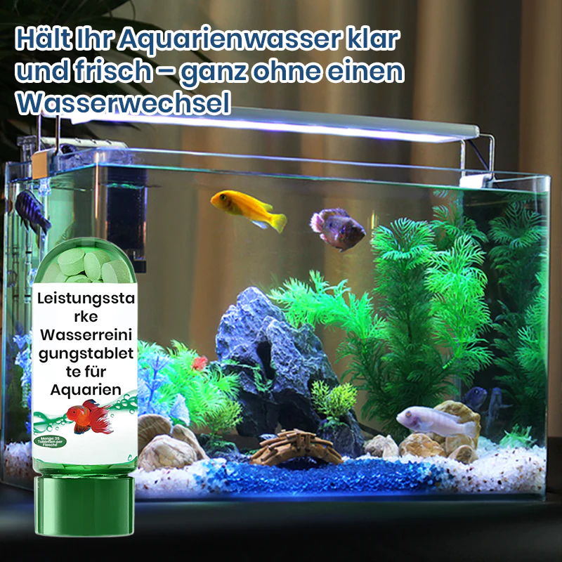 【📍Série pour Aquarium📍】Comprimé Puissant de Purification de l'Eau pour Aquarium - Image 4